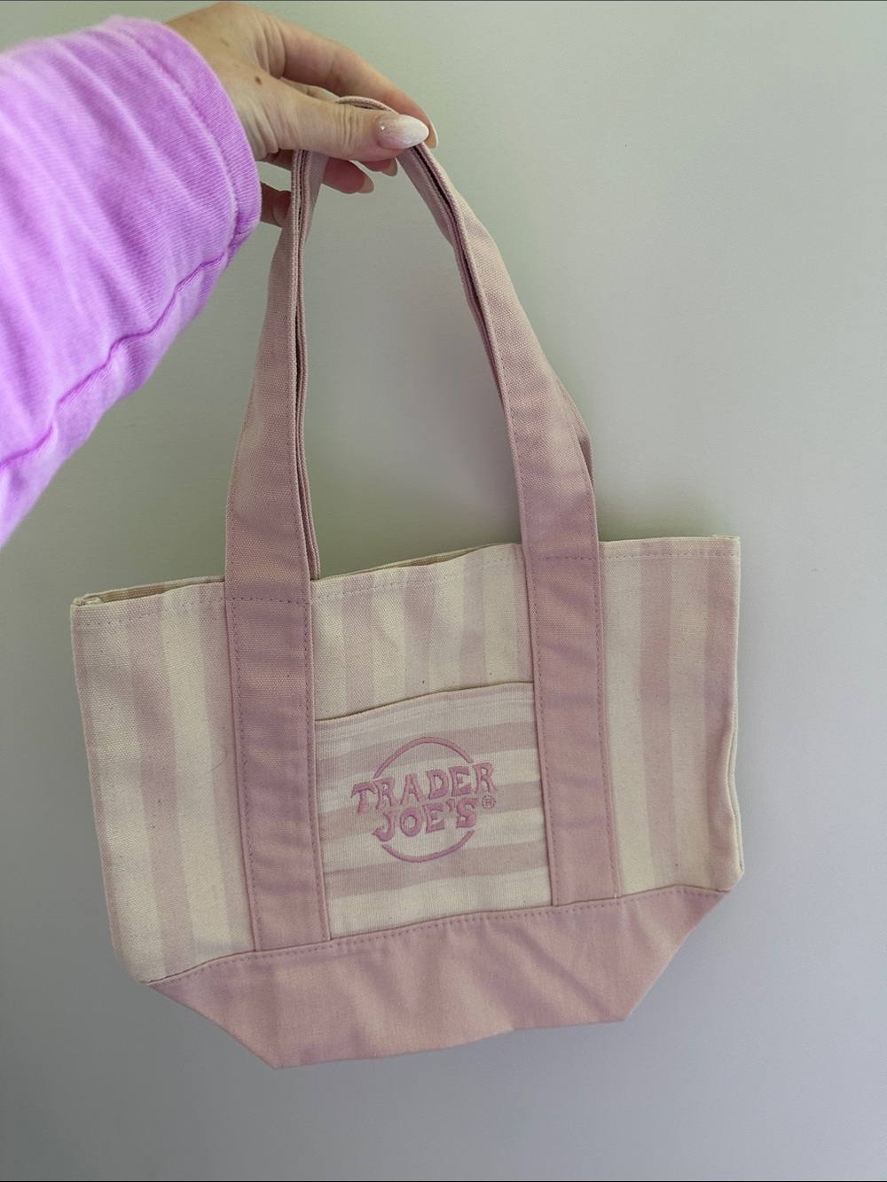 Trader Joe’s canvas mini tote